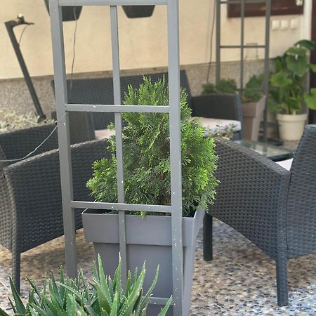 Apartmán Lilyy Leskovac  Exteriér fotografie